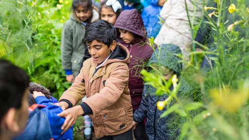 School children learning about nature